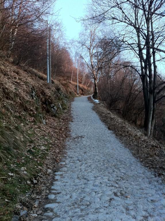 Bondella Como