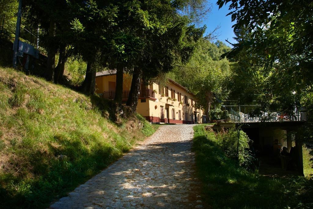 Bondella *